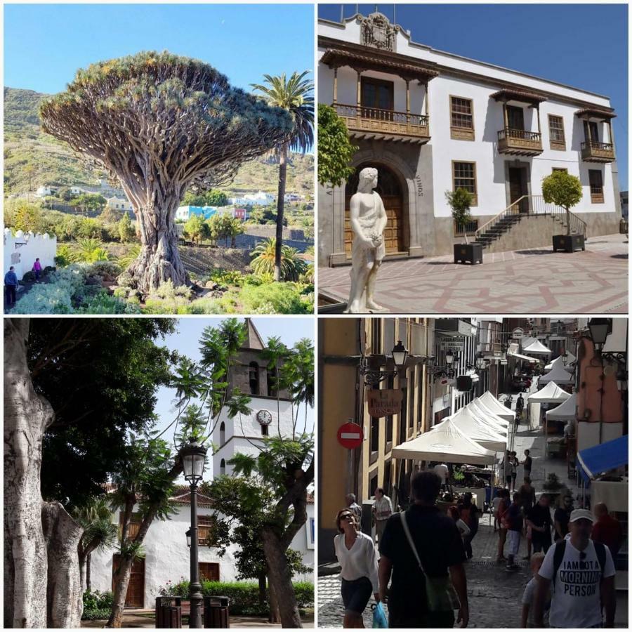 شقة Plaza San Marcos إيكود ذي لوس فينوس المظهر الخارجي الصورة